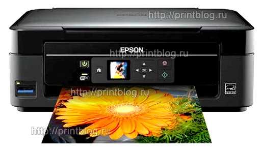 Официальный сайт Epson для загрузки драйверов